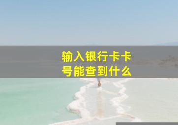 输入银行卡卡号能查到什么