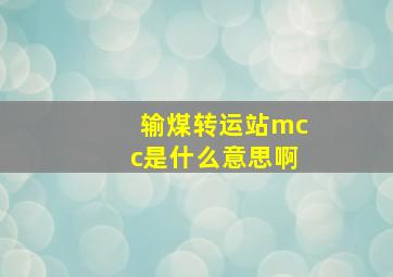 输煤转运站mcc是什么意思啊