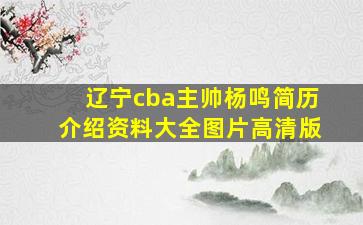 辽宁cba主帅杨鸣简历介绍资料大全图片高清版