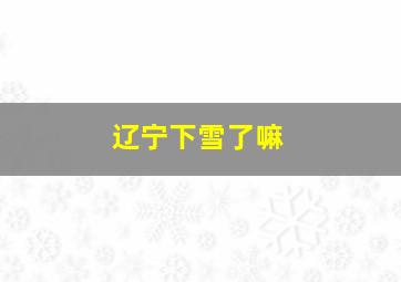 辽宁下雪了嘛