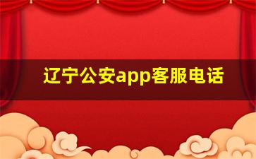 辽宁公安app客服电话