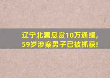 辽宁北票悬赏10万通缉,59岁涉案男子已被抓获!