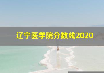 辽宁医学院分数线2020