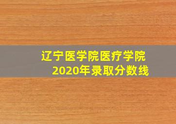 辽宁医学院医疗学院2020年录取分数线