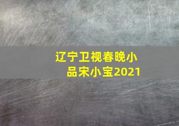 辽宁卫视春晚小品宋小宝2021