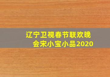 辽宁卫视春节联欢晚会宋小宝小品2020