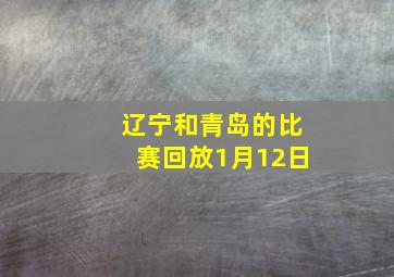 辽宁和青岛的比赛回放1月12日