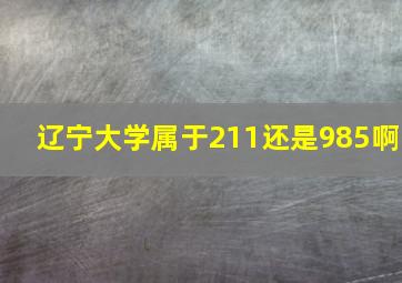 辽宁大学属于211还是985啊