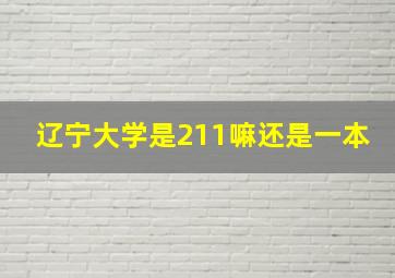 辽宁大学是211嘛还是一本