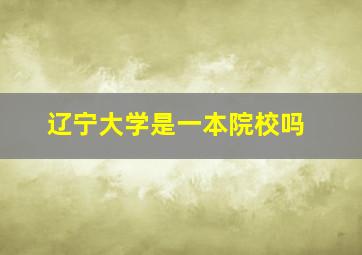 辽宁大学是一本院校吗