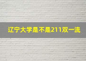 辽宁大学是不是211双一流