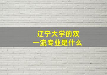 辽宁大学的双一流专业是什么