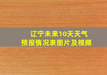 辽宁未来10天天气预报情况表图片及视频