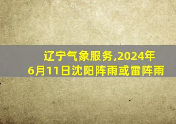 辽宁气象服务,2024年6月11日沈阳阵雨或雷阵雨