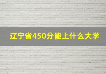 辽宁省450分能上什么大学