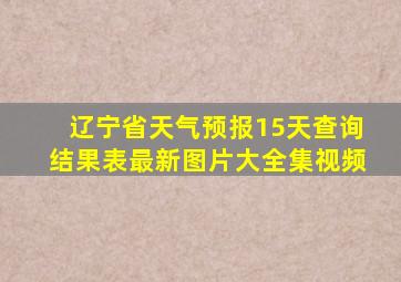 辽宁省天气预报15天查询结果表最新图片大全集视频