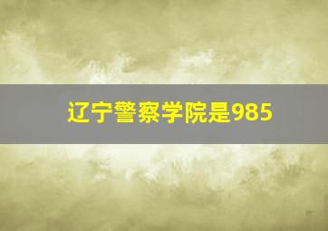 辽宁警察学院是985