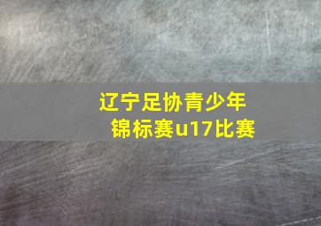 辽宁足协青少年锦标赛u17比赛