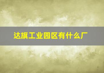 达旗工业园区有什么厂