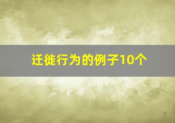 迁徙行为的例子10个