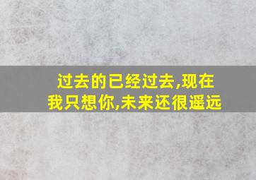 过去的已经过去,现在我只想你,未来还很遥远