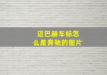 迈巴赫车标怎么是奔驰的图片