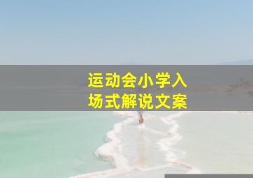 运动会小学入场式解说文案