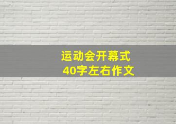 运动会开幕式40字左右作文