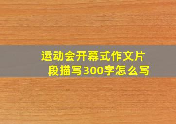 运动会开幕式作文片段描写300字怎么写