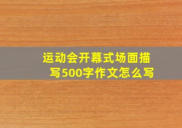 运动会开幕式场面描写500字作文怎么写