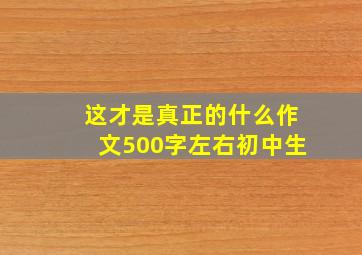 这才是真正的什么作文500字左右初中生