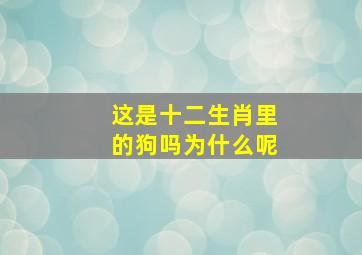 这是十二生肖里的狗吗为什么呢