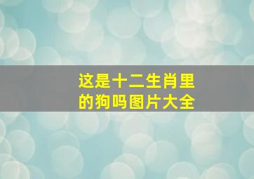 这是十二生肖里的狗吗图片大全