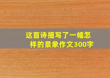 这首诗描写了一幅怎样的景象作文300字