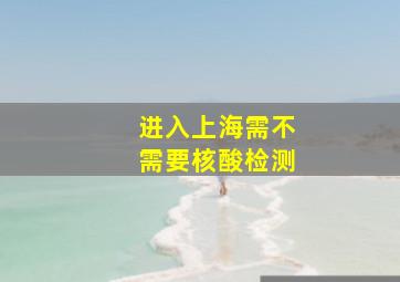 进入上海需不需要核酸检测