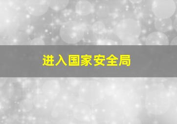 进入国家安全局