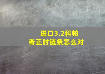 进口3.2科帕奇正时链条怎么对