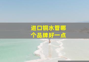 进口铜水管哪个品牌好一点