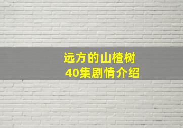 远方的山楂树40集剧情介绍