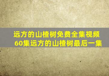 远方的山楂树免费全集视频60集远方的山楂树最后一集