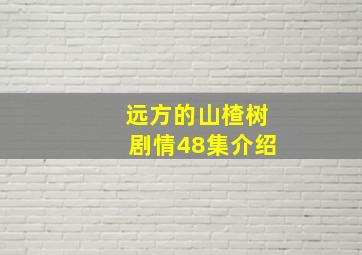 远方的山楂树剧情48集介绍