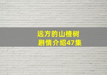 远方的山楂树剧情介绍47集