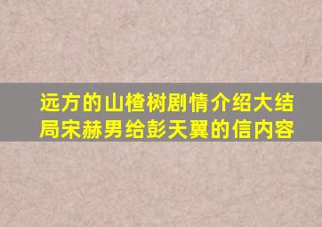 远方的山楂树剧情介绍大结局宋赫男给彭天翼的信内容