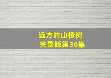 远方的山楂树完整版第36集