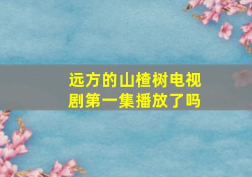 远方的山楂树电视剧第一集播放了吗