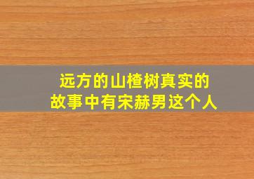 远方的山楂树真实的故事中有宋赫男这个人