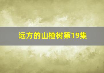 远方的山楂树第19集