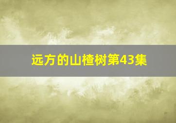 远方的山楂树第43集