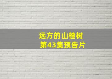 远方的山楂树第43集预告片