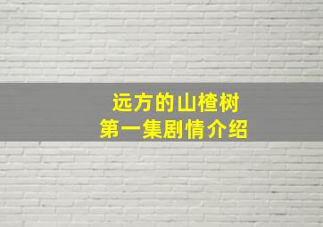 远方的山楂树第一集剧情介绍